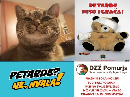 PETARDE PLAKAT DZŽ POMURJA